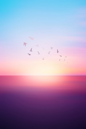 Abstract Sunset VIII